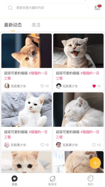 云养猫软件