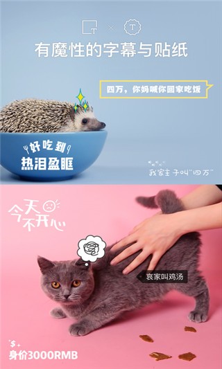 猫饼手机版 猫饼app