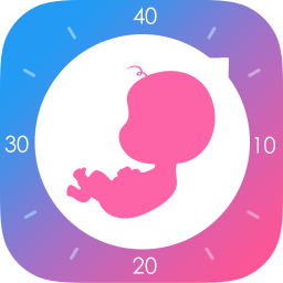 妈妈网孕育管家app
v11.9.0 安卓版

